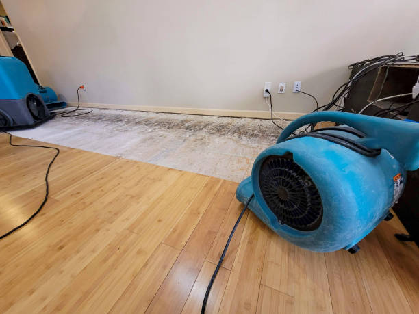 Professional Water Damage Repair technician working in Lyme, NH